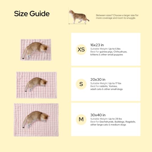Bedsure Premium Bubble Dog Blanket for Small Dogs Puppy Cats 3 Pack 23×16" - image 6