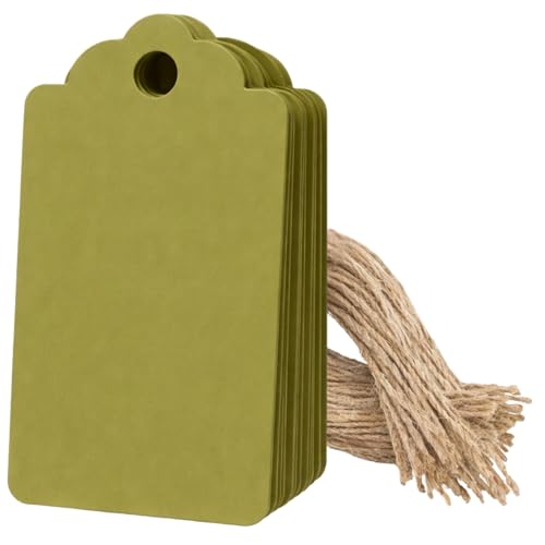 Image of CVANU 150pcs Premium Color Tag Blank Hanging with Pre-Punched Hole Tags for DIY Crafts, Gift Wrapping, Labelling & Writable Decorative Tags for All Occasions (2.85in X 1.7in) Mehendi Green