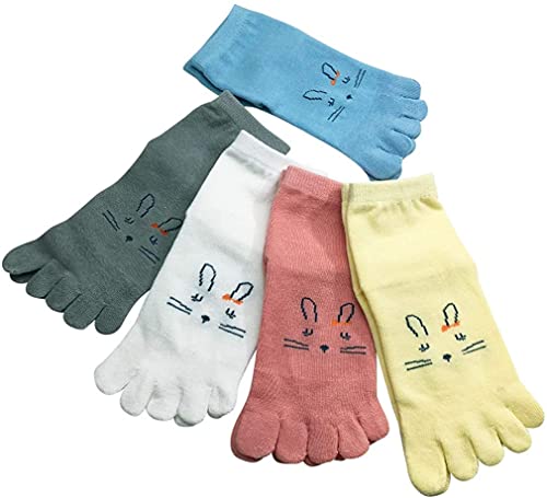 ajaflowers  5{w\bNX 5{wC  q C LbY C \bNX xr[ C Ԃ C  5Zbg ʉ ʊw R ʋC/aja-316 (3-6΁i14-18cmj)