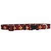 Yellow Dog Design Fleur De Lis Red Dog Collar Fits Neck 14 to 20″, Medium 1″ Wide