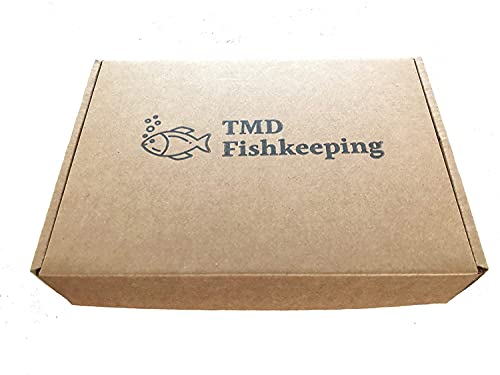 50 Water Spangles (Salvinia Minima) Live Floating Plants for Aquarium or Pond by TMDFishKeeping