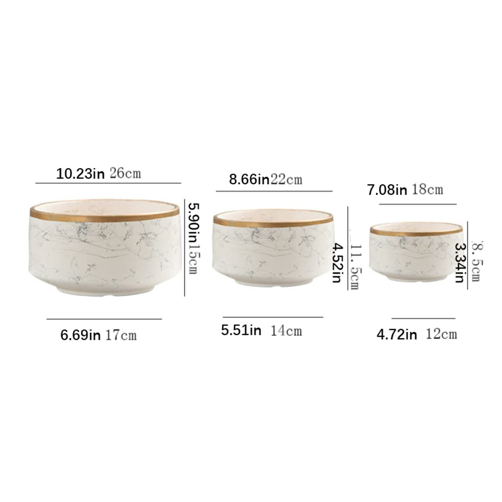 Vasi da Giardino Vaso da Fiori in Ceramica, fioriere per Interni ed Esterni con Foro di drenaggio e piattino, vasi per Piante con Phnom Penh per la Decorazione Domestica, Bianco