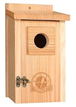 Best Wren Birdhouse Designs That Will Transform Your Garden Space 2 best wren birdhouse designs