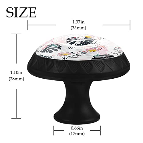 Boutons de tiroir perroquet et fleurs 35mm lot de 12 pour commode - 5