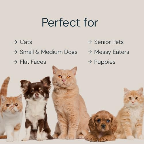 Malsipree Cat & Dog Bowls Elevated Set With Stand - Ceramic Raised Dog Bowls For Extra Small To Small Dogs & All Sized Cats thumb #3