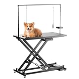Goldshire Professional Electric...image