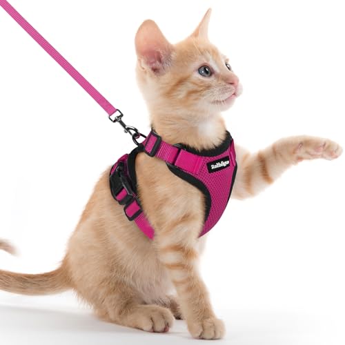 Image of rabbitgoo Cat Harness and Leash Set, Escape Proof Vest, Rose Red | Soft Breathable Mesh, Easy Adjustable Fit, Snap Buckles, Sturdy Clip, Reflective Strips, for Kittens & Small Cats Walks, Xxs