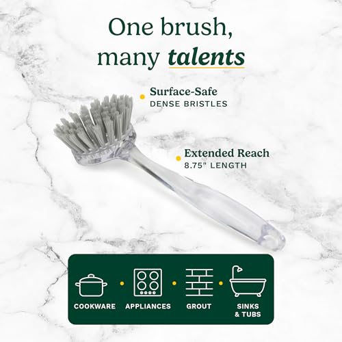 Image of Cuisinart Dish Brush with Handle 2 Pack - Kitchen Scrub Brush for Dishes, Pots & Pans, Non-Scratch Dish Scrubber, Firm Bristles for Sink & Cookware, Comfortable Grip for Everyday Cleaning