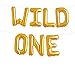 AnnoDeel 16inch WILD ONE Balloons, Gold Letter Foil Balloons for Baby First Birthday Baby Show 1st Party Supplies Decorations