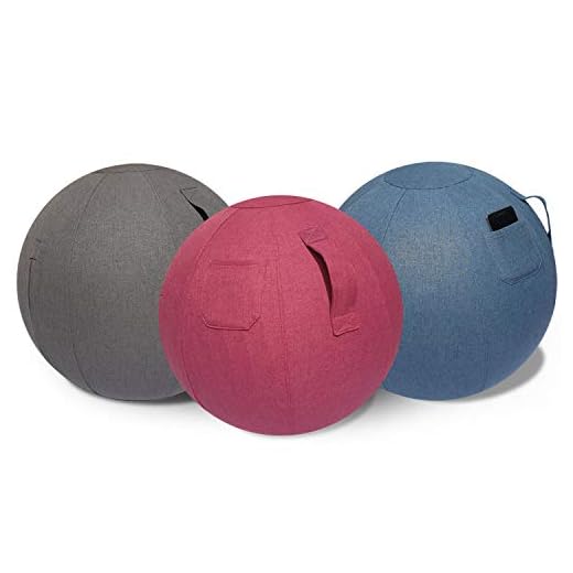 Yoga Ball Cover - Exercise Ball Cover - for 65cm Birthing Ball, Stability Ball, Fitness Ball, Balance Ball - Posture Stability, Workout Equipment - Machine Washable Slipcover with Handle and Pocket