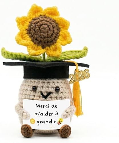 Cadeau Professeur en Français, Poupée Tournesol Tricoté avec Carte, Cadeau Enseignante & Éducatrice, Cadeaux de Remerciement Pour Professeur de Français