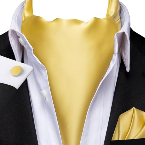 Image of Hi-Tie Silk Ascot for Men Self Tie Men's Cravat and Flower Lapel Pin Handkerchief Cufflinks Set for Wedding Party