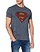 Superman Herren T-Shirt, blau, L