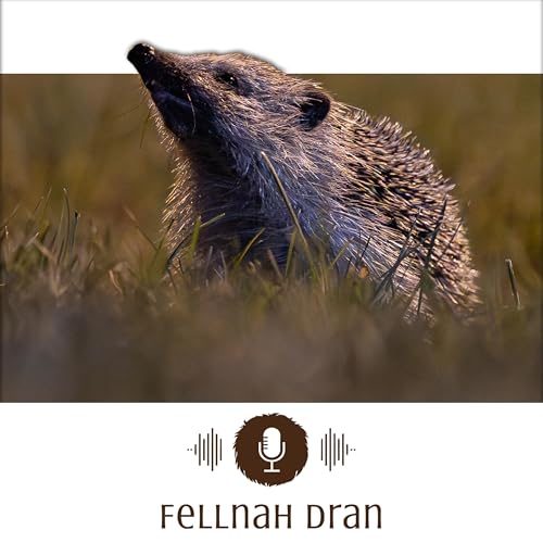 #3: Bewaffnet, aber chancenlos - Wenn Igel unsere Hilfe brauchen