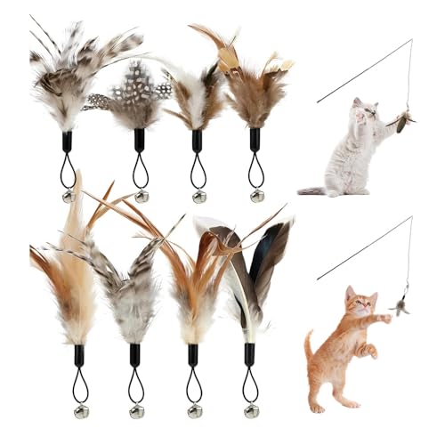 HMCEY 8 Piezas Juguete de Plumas para Gatos,Caña de Pescar Retráctil para Gatos con Campanas,Cat Toy Feather,Pluma de Repuesto Natural para Gato,Juguetes Interactivos Gato para Movimiento y Juego