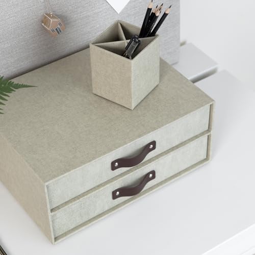 BIGSO BIRGER Schubladenbox – Aufbewahrungsbox mit 2 Schubladen – Schreibtisch Ablage für Dokumente & Bürobedarf – Ablagesystem aus recycelter Faserplatte und Papier – beige