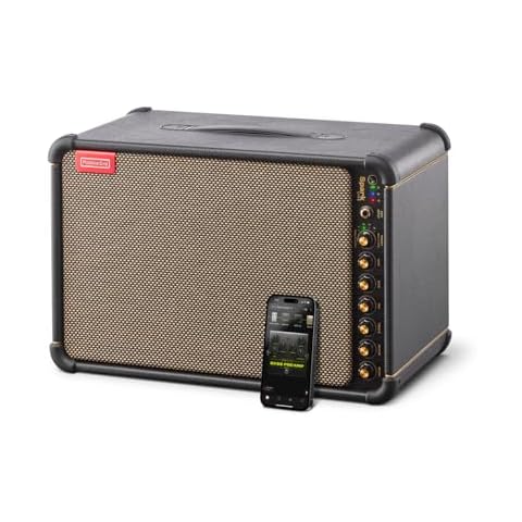 Amplificateur Positive Grid Spark Live Cover