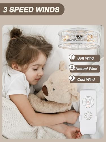 Image of Caged Ceiling Fan with Lights and Remote