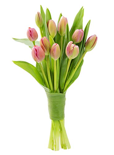 Image of KaBloom-10 Pink Tulip Bouquet,Flowers for Valentine, Mother's Day