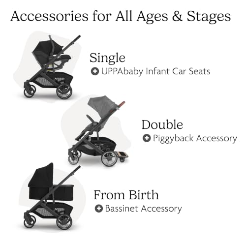 Image of UPPAbaby Cruz V3 Stroller - from Birth + Car Seat Compatible - Full-Size, Reversible Seat - Infant Insert, Bug and Rain Shields Included - James (Black /Carbon Frame /Black Leather)