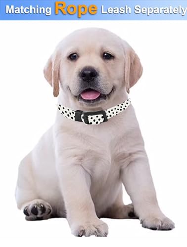 Sxboxing UIHSDJ Dog Collar, Cute Dog Collar thumb #3