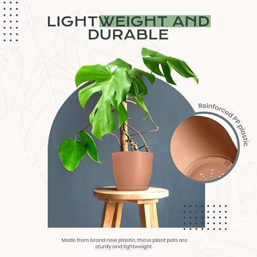 Utopia Home - Plant Pots Indoor with Drainage - 7/6.6/6/5.3/4.8 Inches Home Decor Flower Pots - Plastic Planters for Indoor Plants, Cactus, Succulents Pot (Terracotta, Pack of 10)