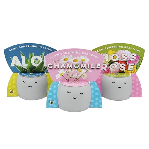 Buzzy Seeds Peaceful Face Planter Grow Kit 3-Pack - Face Ceramic Planter - Complete Indoor Gardening Kit with Seeds Coconut Husk Growing Medium & Genuine Pots - 100% Grow Guarantee