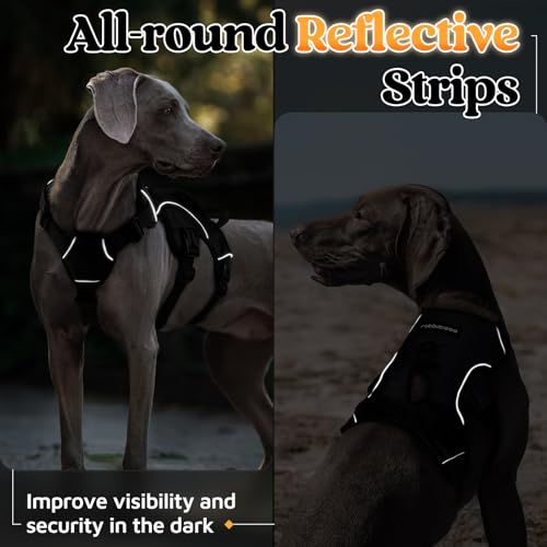 Rabbitgoo DTLGBD01LBK18CW Escape Proof Dog Harness, Soft Padded Full Body Pet Harness, Reflective Adjustable No Pull Vest thumb #8