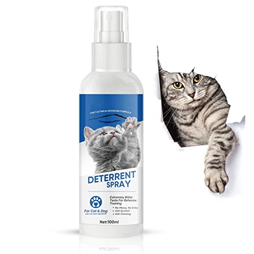 Top 10 Cat Repellent For Furniture of 2022 Katynel