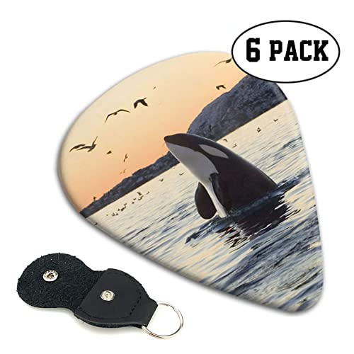 Whale Above Lot de 6 médiators imprimés avec boîte de rangement pour guitare acoustique et électrique - Les Beatles, Paul McCartney, John Lennon, RIngo Starr, George Harrison Whale Above Lot de 6 médiators imprimés avec boîte de rangement pour guitare acoustique et électrique – Image 3