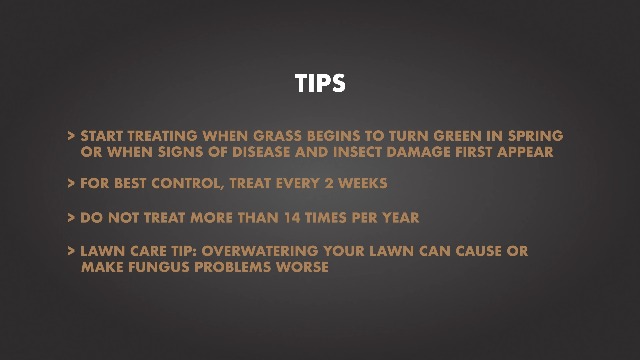 Spectracide Immunox Multi-Purpose Fungicide Spray Concentrate For Gardens 16 Ounces, Protects Up To 2 Weeks