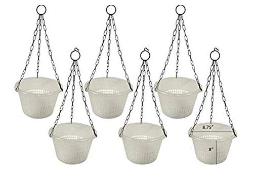 Orchid Hanging 8 inch Plastic Pot with Metal Chain/Hydroponics Pot, Clear, Set of 6 Pcs (B08P21FZPF) Amazon Price History, Amazon Price Tracker