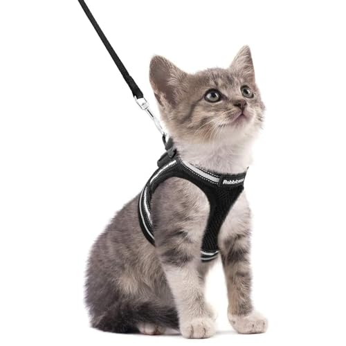rabbitgoo Cat Harness and Leash Set
