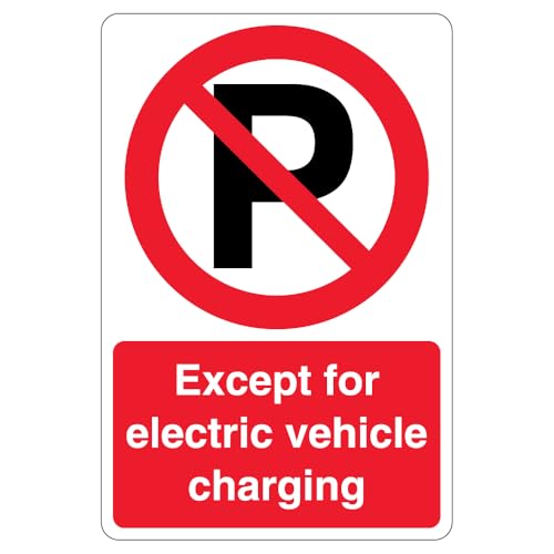 Vehicule electrique interdiction de charge panneau rigide 40x60cm