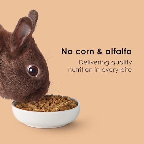 Kaytee Rabbit Food, Timothy Complete Rabbit Food Pellets, 9.5 Pounds - image 5