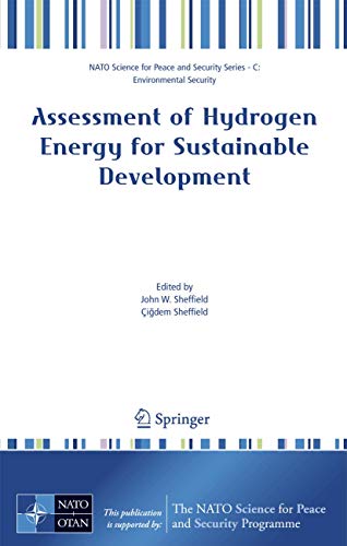 Assessment of Hydrogen Energy for Sustainable Development (NATO Science for Peace and Security Series C: Environmental Security)
