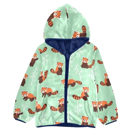 CHIFIGNO Cute Red Pandas Mint Toddler Boy Thick Soft Fleece Outerwear Jackets with Polar Fleece Lining 3T