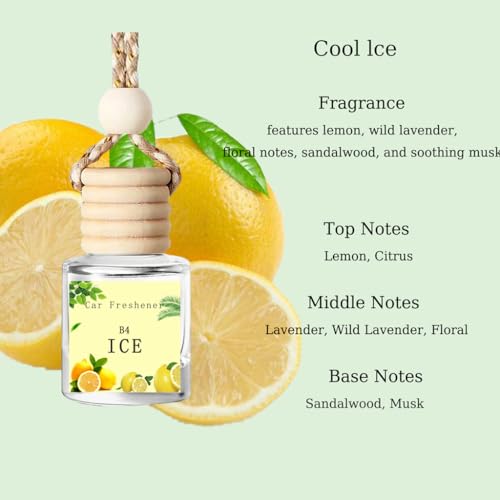 Image of Hanging Car Air Freshener Diffuser, Long Lasting Essential Oil Diffuser, Premium Hanging Scent Air Freshener for Car Interior, Odor Eliminator to Refresh Driving Space and Create Aromatic Car Oasis