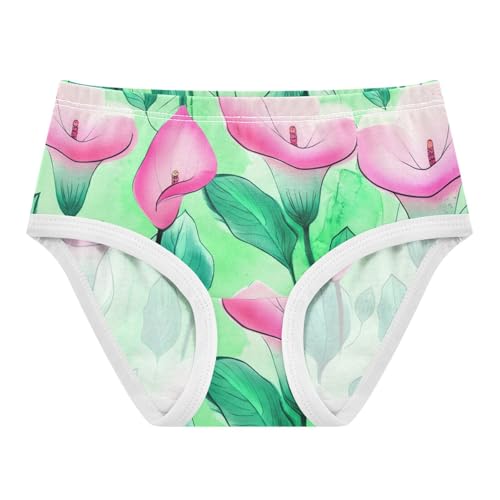 Cartoon Girls Underwear Toddler 2t Cotton Panties for Girl Pink Calla Lily Flowers Teal Green Kids Briefs Undies