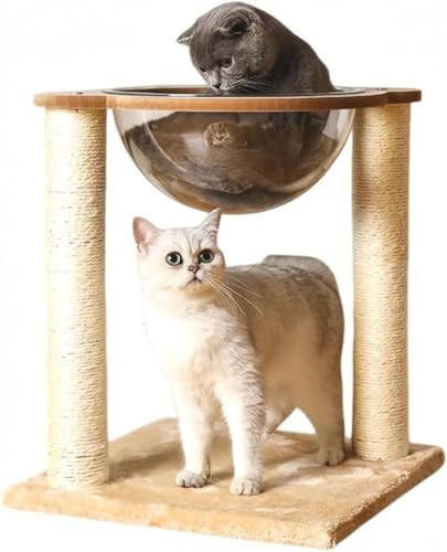 Barino Lxbh ܂Ƃ FD JvZ L̈v ؓo^[ JvZ lRpQ LpnEX R߂Ƃ Sf 360° Lbg ybgpi ω׏d15KG ȃXy[X̃|Xg zՃLbg LnnbN lR 