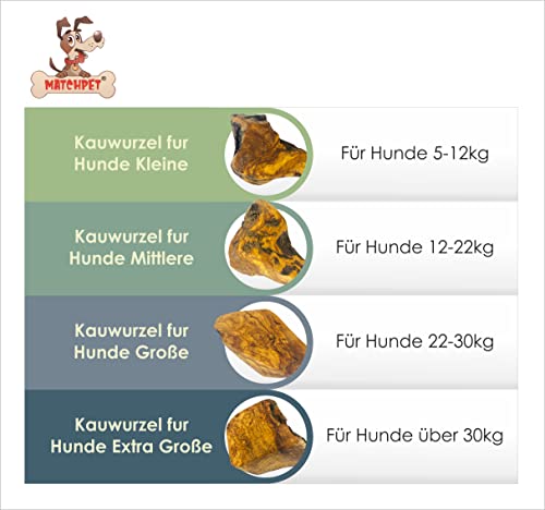 Matchpet Olivenholz Hund Kauwurzel für Hunde Large 2 Stück Kauholz für Hunde L Holzknochen als Hundespielzeug