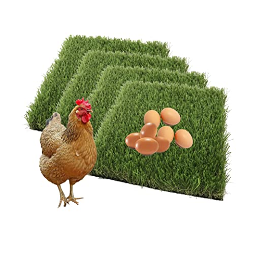 The Best bedding for nesting boxes Top 10 Picks By An Expert licorize