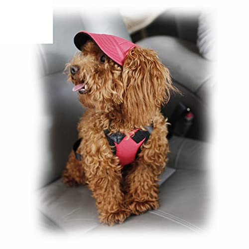 SHTGOI Hunde Baseballmütze Outdoor Haustier Mütze Kappe Sonnenschutz Cap Hut Basecap Sonnenhut Sonnenhüte Schirmmütze Hundecap mit Ohrlöchern und Verstellbarer Kinnriemen Rot