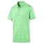Irish Green