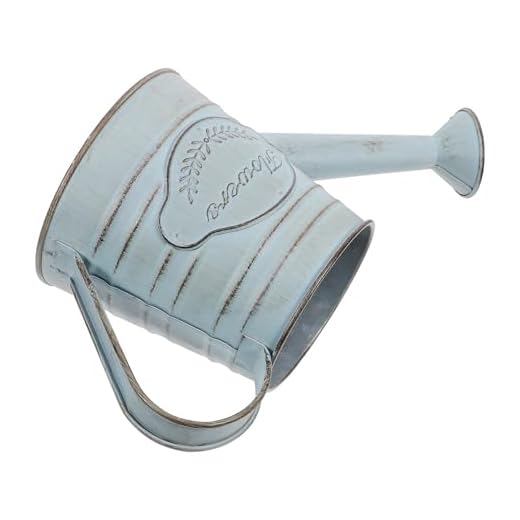 Toddmomy Regador Galvanizado Para Plantas De Interior Ao Livre Regador Vintage - Jarro Rústico - Jarro Primitivo - Porta-Flores Decorativo - Vaso De Metal Campestre