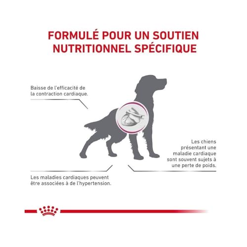 Royal Canin Cardiac | 2kg | Trockenfutter für Hunde | Kann zur Unterstützung der Herzfunktion beitragen | Enthält eine Kombination aus Nährstoffen wie Taurin und L-Carnitin