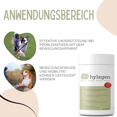 FARRADO I Hylagen Pulver 500g Collagen & Hyaluron I Gelenkpulver für Hunde