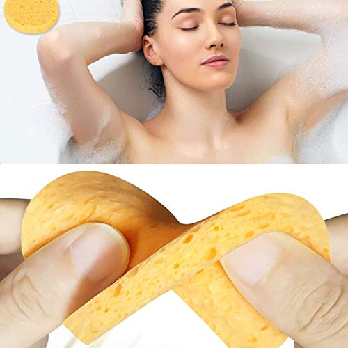 36 spugne per il viso compresse per il trucco