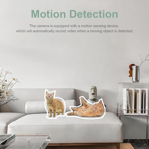 Musoumars Hidden Camera 1080P HD Video Recorder with Motio Detection Loop Recording Security Nanny Cam Video-Only Camera for Home/Office, No WiFi Function