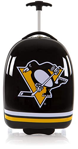 Denco Pittsburgh Steelers 2-Piece Luggage Set, Includes 21-inch Two-Tone Hardcase Spinner and 19